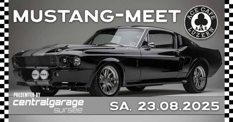 ace-mustang25
