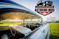 autokinomuri